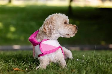 Horseware Ireland Witney Pink Horseware Ireland Newmarket Dog Fleece| Online For Equine