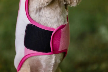 Horseware Ireland Witney Pink Horseware Ireland Newmarket Dog Fleece| Online For Equine