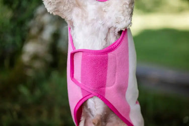 Horseware Ireland Witney Pink Horseware Ireland Newmarket Dog Fleece| Online For Equine