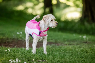 Horseware Ireland Witney Pink Horseware Ireland Newmarket Dog Fleece| Online For Equine