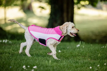 Horseware Ireland Witney Pink Horseware Ireland Newmarket Dog Fleece| Online For Equine