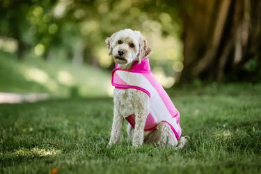 Horseware Ireland Witney Pink Horseware Ireland Newmarket Dog Fleece| Online For Equine
