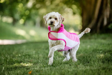 Horseware Ireland Witney Pink Horseware Ireland Newmarket Dog Fleece| Online For Equine