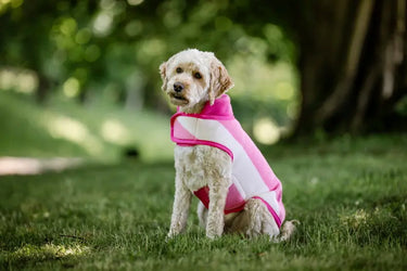 Horseware Ireland Witney Pink Horseware Ireland Newmarket Dog Fleece| Online For Equine