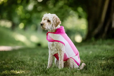 Horseware Ireland Witney Pink Horseware Ireland Newmarket Dog Fleece| Online For Equine