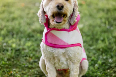 Horseware Ireland Witney Pink Horseware Ireland Newmarket Dog Fleece| Online For Equine