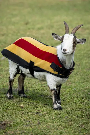 Horseware Ireland Witney Stripes - Gold Horseware Ireland Newmarket Goat Fleece| Online For Equine