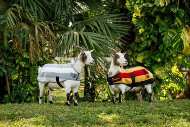 Horseware Ireland Witney Stripes - Gold Horseware Ireland Newmarket Goat Fleece| Online For Equine