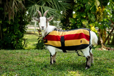 Horseware Ireland Witney Stripes - Gold Horseware Ireland Newmarket Goat Fleece| Online For Equine