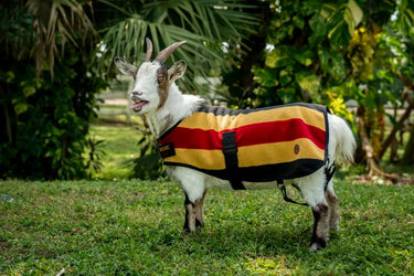 Horseware Ireland Witney Stripes - Gold Horseware Ireland Newmarket Goat Fleece| Online For Equine