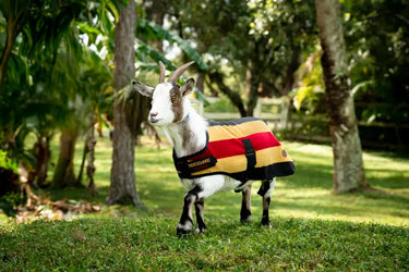 Horseware Ireland Witney Stripes - Gold Horseware Ireland Newmarket Goat Fleece| Online For Equine