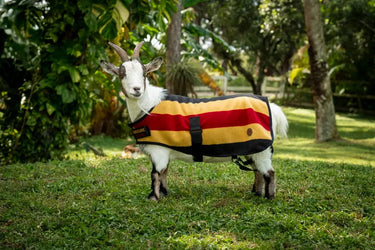 Horseware Ireland Witney Stripes - Gold Horseware Ireland Newmarket Goat Fleece| Online For Equine