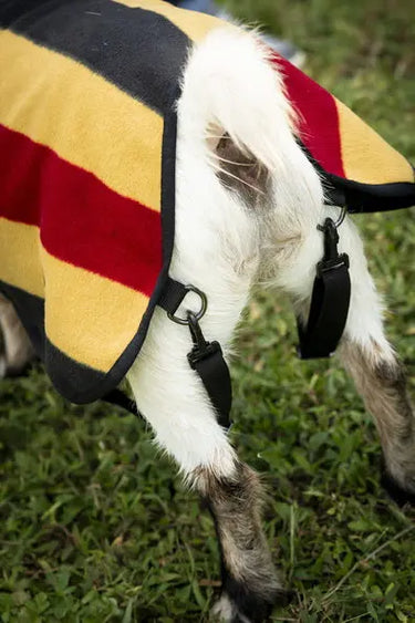 Horseware Ireland Witney Stripes - Gold Horseware Ireland Newmarket Goat Fleece| Online For Equine