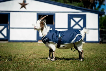 Horseware Ireland Witney Stripes - Navy Horseware Ireland Goat Coat 0g| Online For Equine
