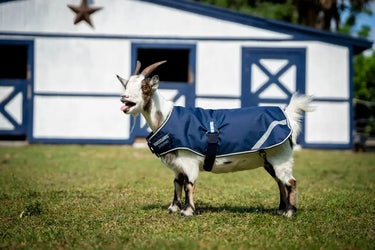 Horseware Ireland Witney Stripes - Navy Horseware Ireland Goat Coat 100g| Online For Equine