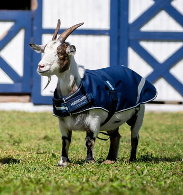 Horseware Ireland Witney Stripes - Navy Horseware Ireland Goat Coat 200g| Online For Equine