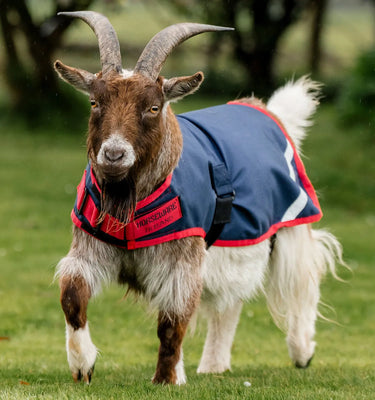 Horseware Ireland Witney Stripes - Navy Horseware Ireland Goat Coat 200g| Online For Equine