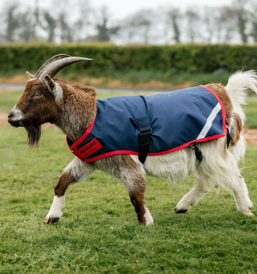 Horseware Ireland Witney Stripes - Navy Horseware Ireland Goat Coat 200g| Online For Equine