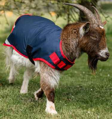 Horseware Ireland Witney Stripes - Navy Horseware Ireland Goat Coat 200g| Online For Equine