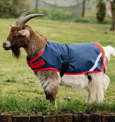 Horseware Ireland Witney Stripes - Navy Horseware Ireland Goat Coat 200g| Online For Equine