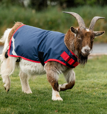 Horseware Ireland Witney Stripes - Navy Horseware Ireland Goat Coat 200g| Online For Equine