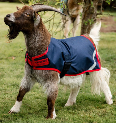 Horseware Ireland Witney Stripes - Navy Horseware Ireland Goat Coat 200g| Online For Equine