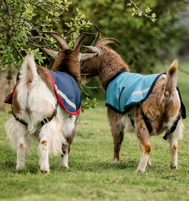 Horseware Ireland Witney Stripes - Navy Horseware Ireland Goat Coat 200g| Online For Equine