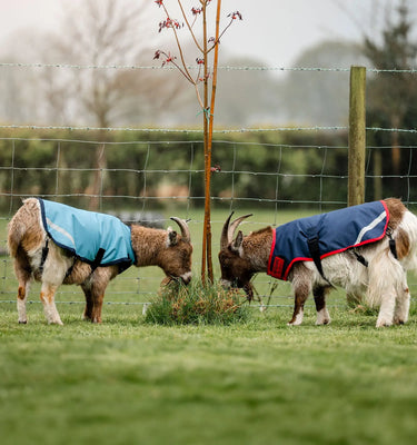 Horseware Ireland Witney Stripes - Navy Horseware Ireland Goat Coat 200g| Online For Equine