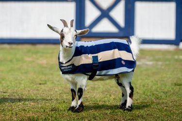 Horseware Ireland Witney Stripes - Navy Horseware Ireland Newmarket Goat Fleece| Online For Equine