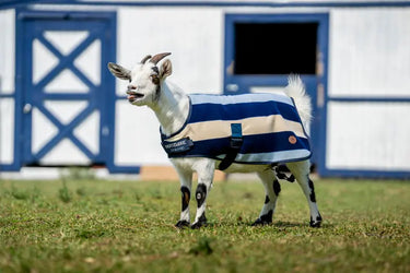 Horseware Ireland Witney Stripes - Navy Horseware Ireland Newmarket Goat Fleece| Online For Equine