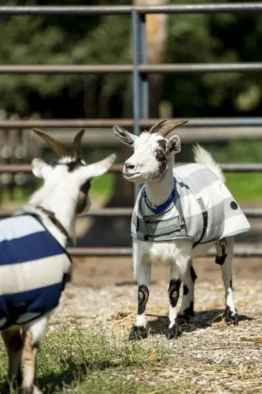 Horseware Ireland Witney Stripes - Navy Horseware Ireland Newmarket Goat Fleece| Online For Equine