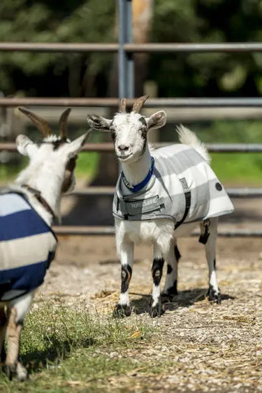 Horseware Ireland Witney Stripes - Navy Horseware Ireland Newmarket Goat Fleece| Online For Equine
