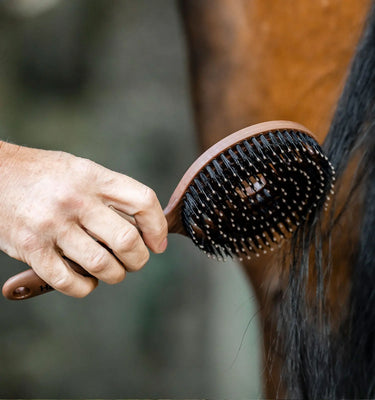 Horseware Ireland Wood Effect Horseware Ireland Mane & Tail Brush| Online For Equine