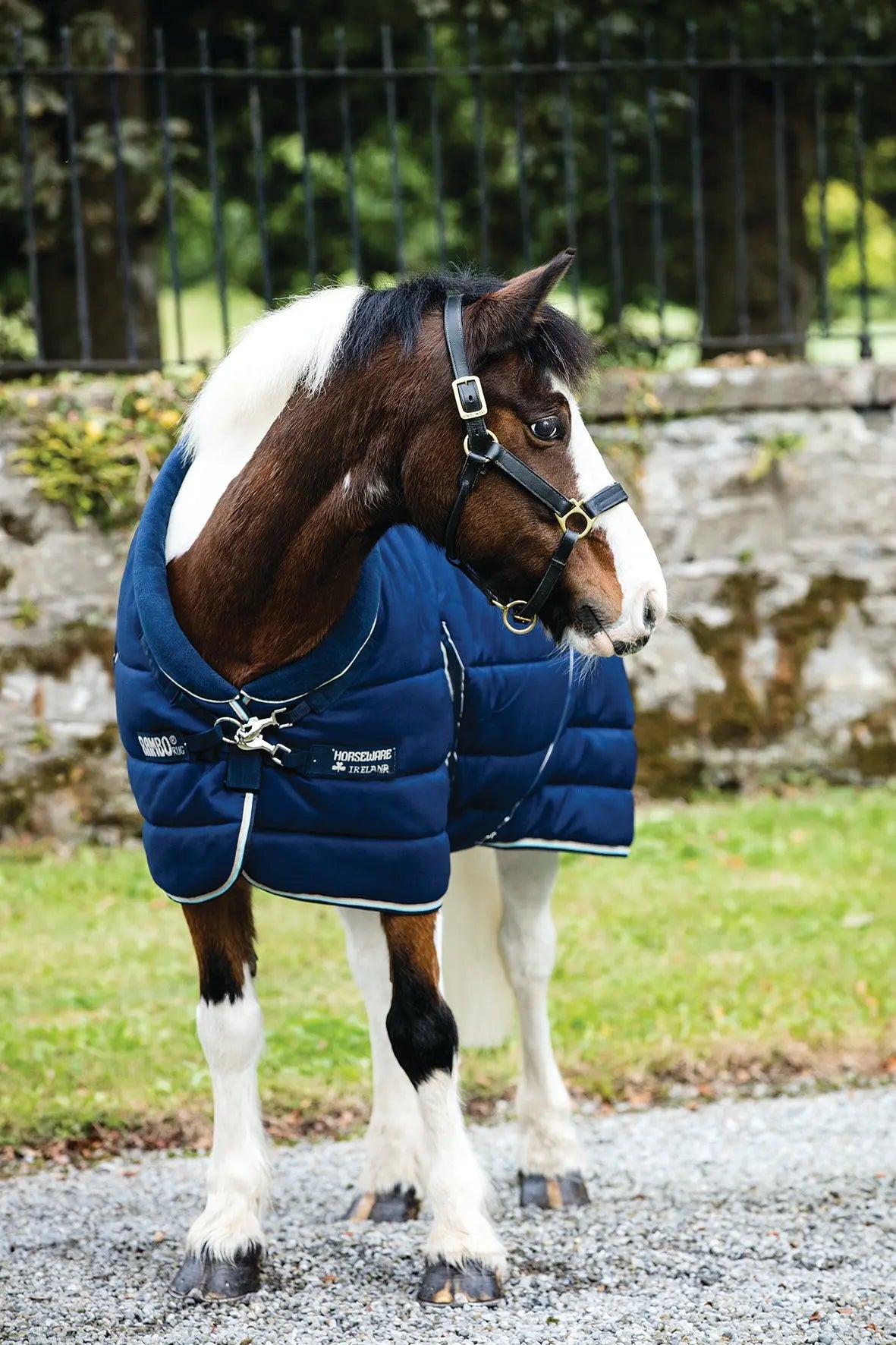 400g Stable Rug Buy the Horseware Rambo Cosy Stable Rug Heavy 400g | Online for Equine ...