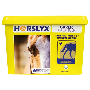Buy Horslyx Garlic Balancer Lick| Online for Equine