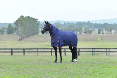 Weatherbeeta Comfitec Essential Turnout Combo 360G Navy/ Burgundy