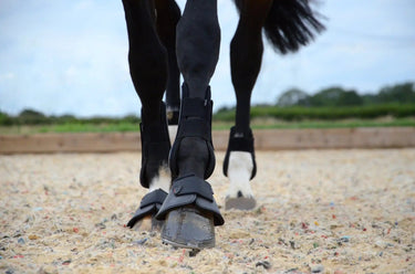 Buy Hy Armoured Guard Pro Reaction Fetlock Boot| Online for Equine