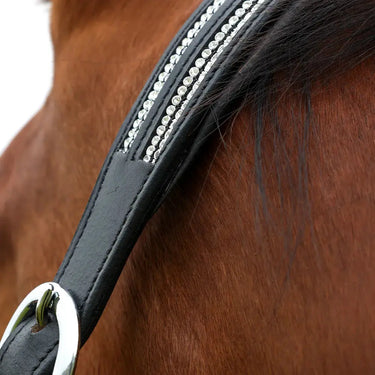 Hy Equestrian Anodize Leather Head Collar| Online For Equine