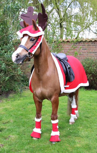 Hy Equestrian Christmas Santa Over Reach Boots| Online For Equine
