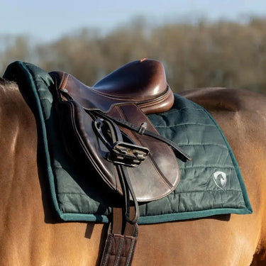 Hy Equestrian Classic Comfort Pad - Online For Equine