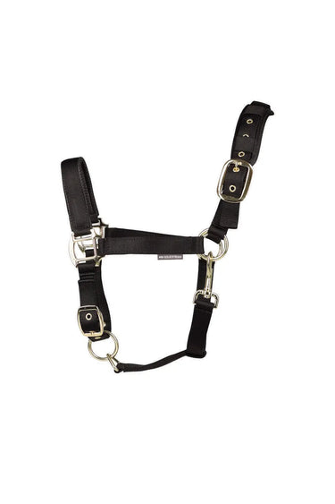 Hy Equestrian Deluxe Padded Head Collar Black| Online For Equine