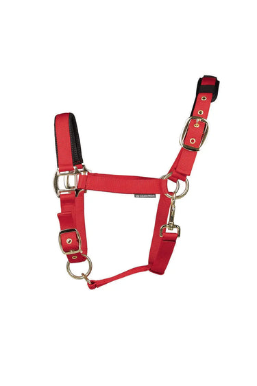 Hy Equestrian Deluxe Padded Head Collar Red| Online For Equine