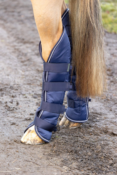 Hy Equestrian Economy Travel Boots| Online For Equine