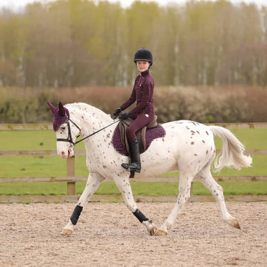 Hy Equestrian Enchanted Collection Fly Veil| Online For Equine