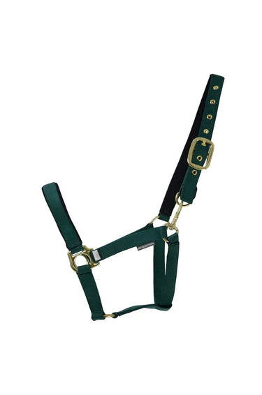 Hy Equestrian Fieldsafe Head Collar| Online For Equine