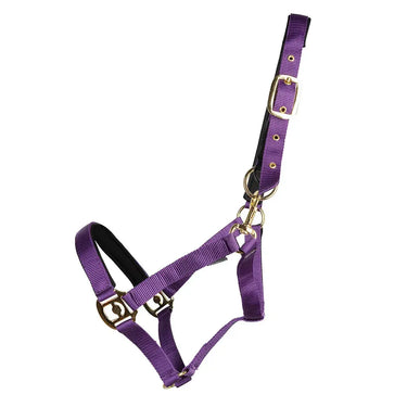 Hy Equestrian Fieldsafe Head Collar| Online For Equine