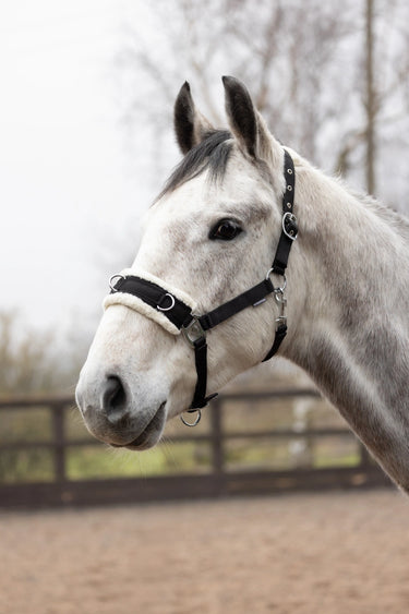 Hy Equestrian Fleece Lined Lunge Cavesson| Online For Equine