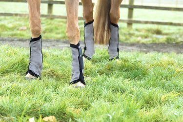 Hy Equestrian Fly Mesh Boot| Online For Equine