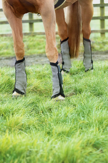Hy Equestrian Fly Mesh Boot| Online For Equine