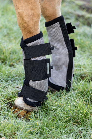 Hy Equestrian Fly Mesh Boot| Online For Equine
